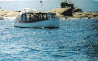index008004.jpg
