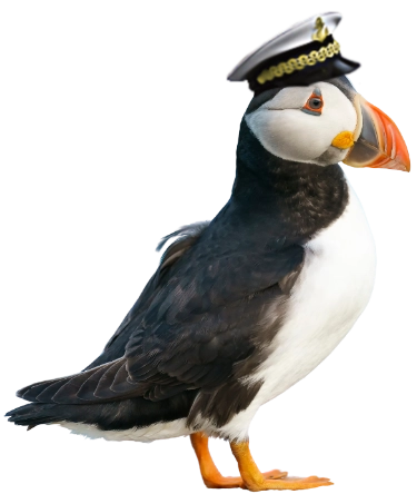 Puffin with a hat on it