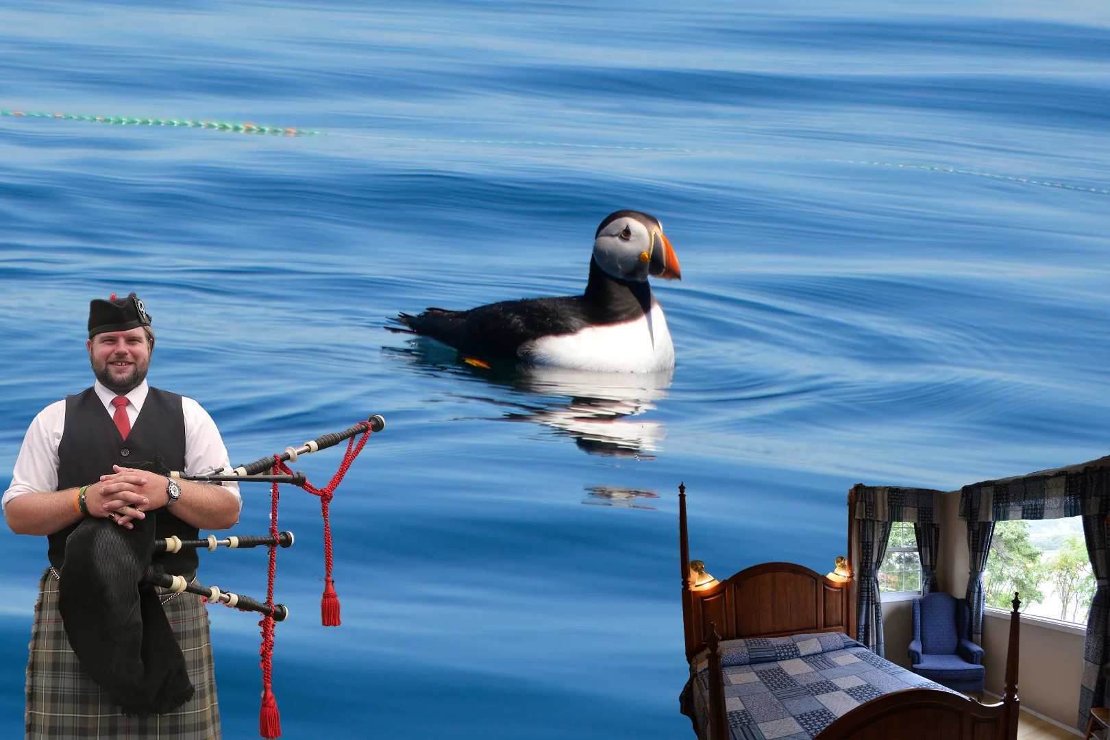 A composite image. A man standing on the left wearing a kilt and holding bagpipes, an Atlantic puffin just taking off from the water, a queen 4-poster bed and windows showing the ocean view
